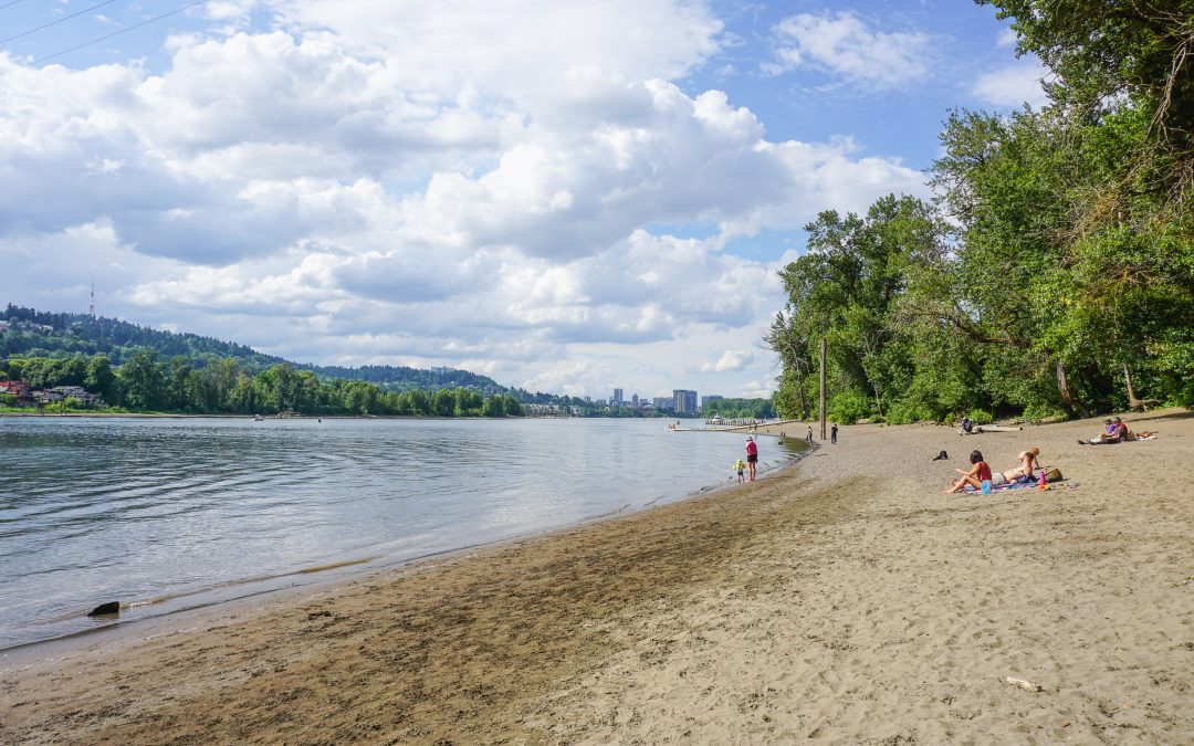 Bus to the Beach — Best Swimming Spots via Transit