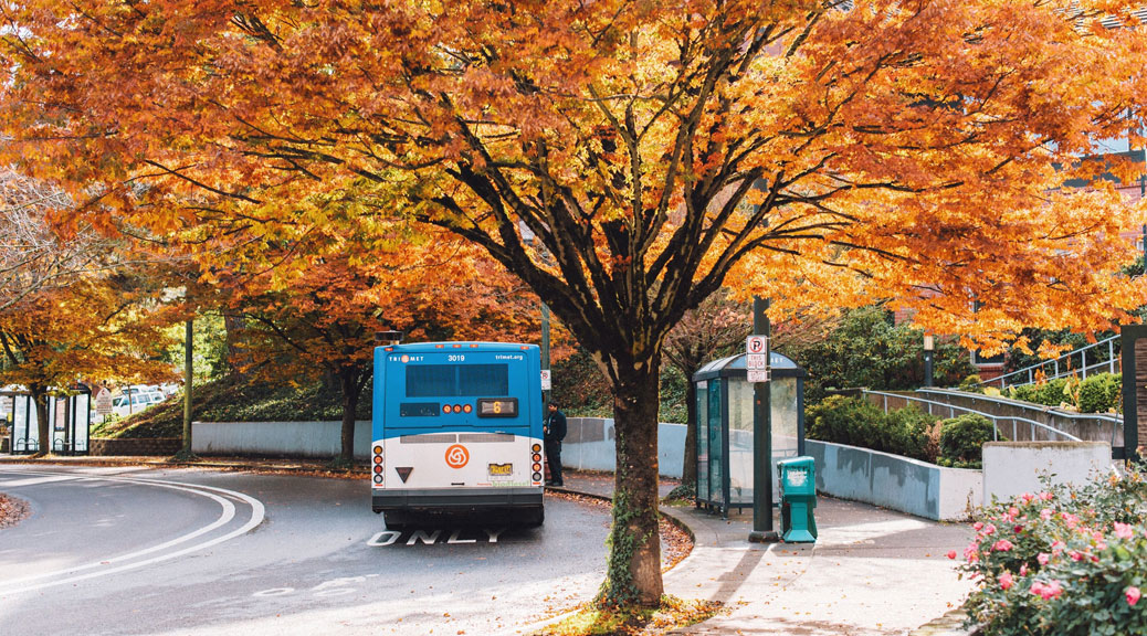 transit-friendly-fall-featured-image