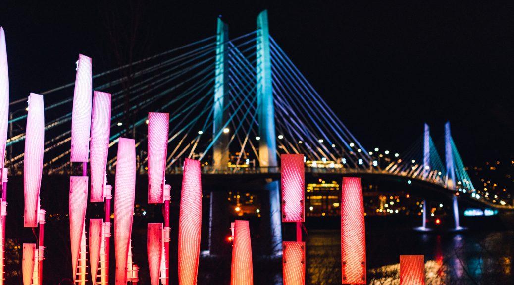 You Should Go To Winter Light Festival (But You Shouldn’t Drive)