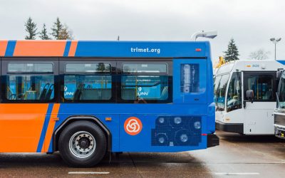 Hillsboro Hops: A scorecard for driving, taking TriMet to the